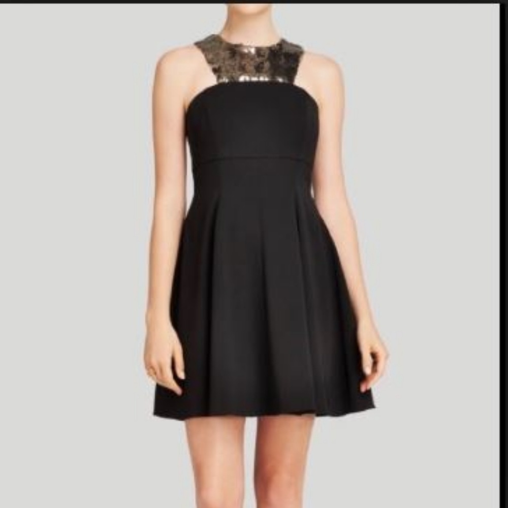 NWT STUNNING Shoshanna Hayden Dress